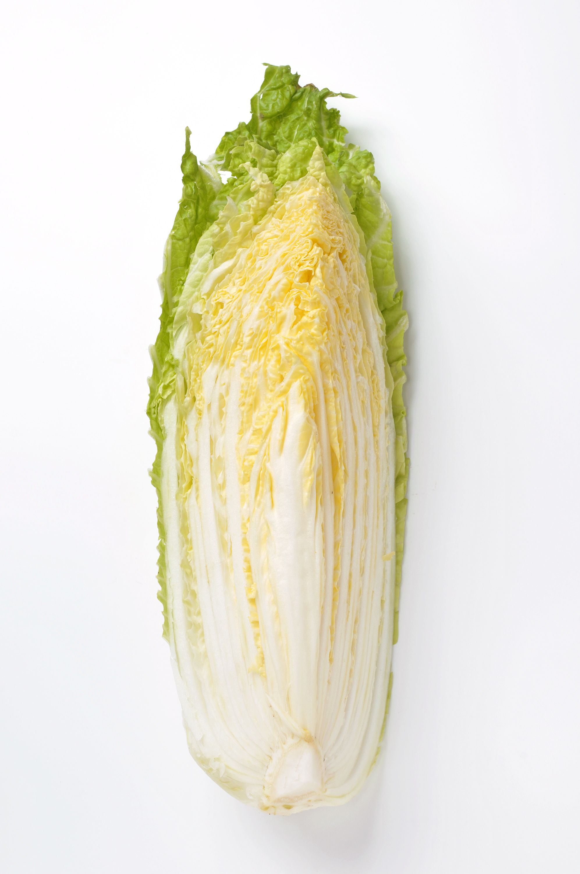 Оптовая продажа свежей капусты для изготовления kimchi