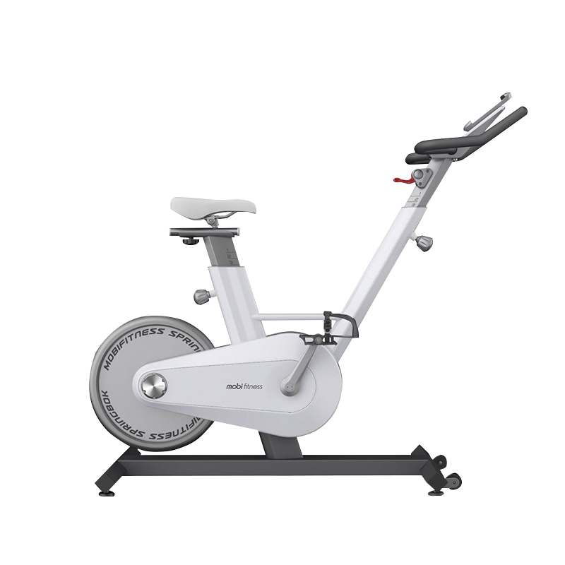 Mobifitness Smart Spinning Bike Fitness Home Use Stationary Bike For Gym Equipment