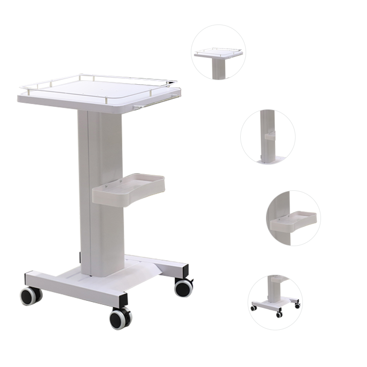 Hot sale Economical Beauty Salon Hand Trolley Luxury and elegant Sap trolley Lighted Salon Cosmetic Case cart