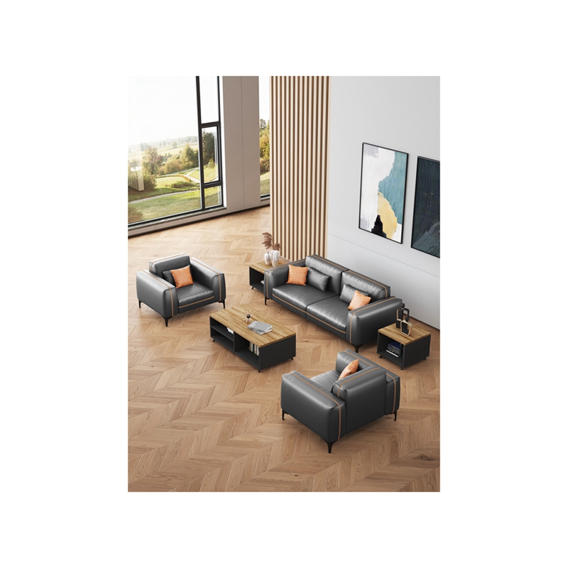 Office Sofa Cushion Furniture, Sofa Waiting Set, Leisure Sofa In Living Room Sofa