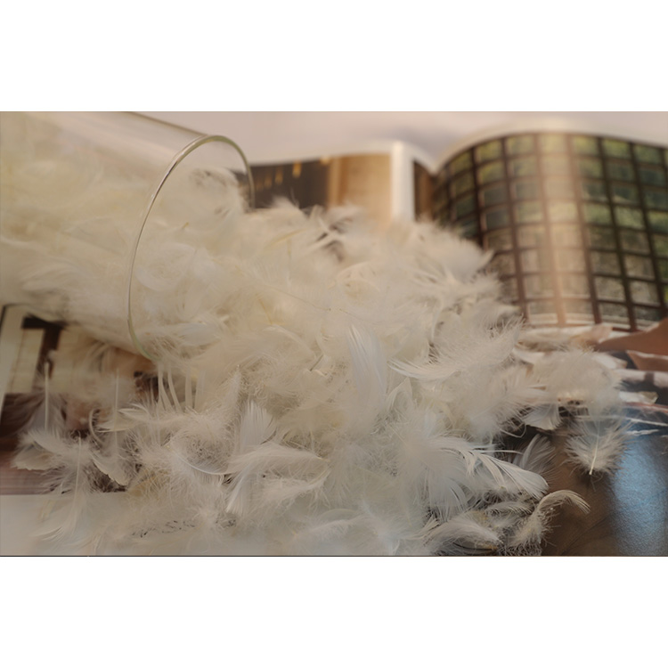 Best price superior quality 4-6cm white goose feather