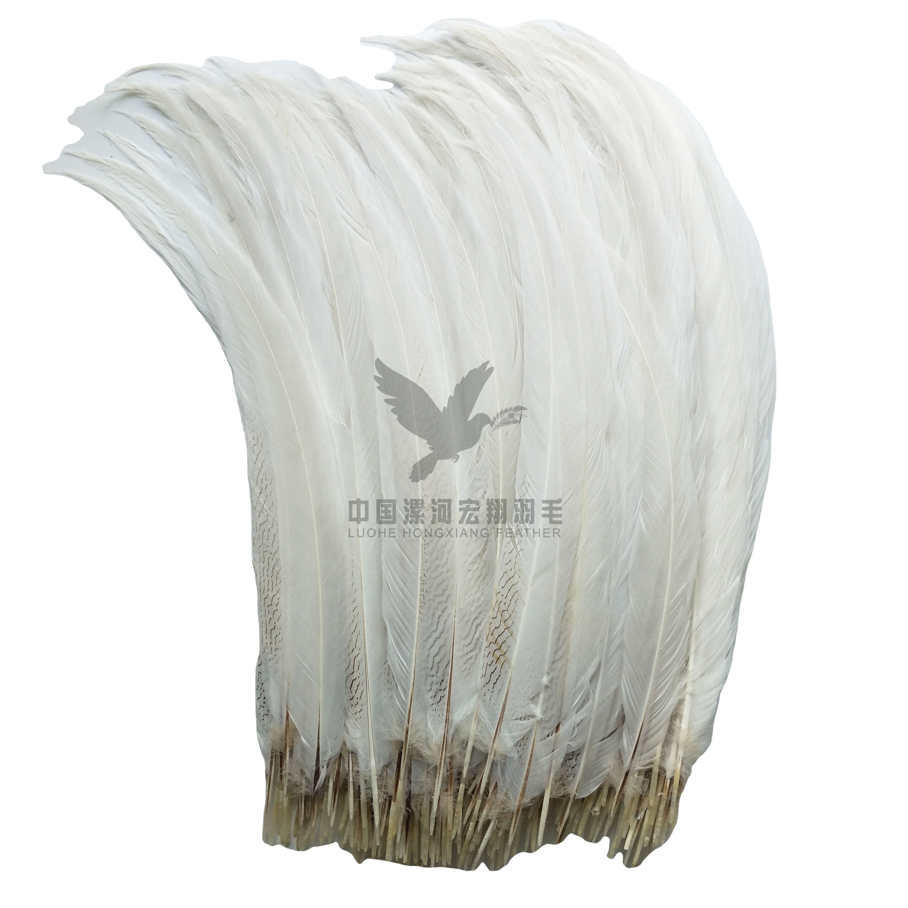 90-100cm Long size silver pheasant tail feather