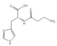 Anti Aging 99% Pure Carnosine L Carnosine