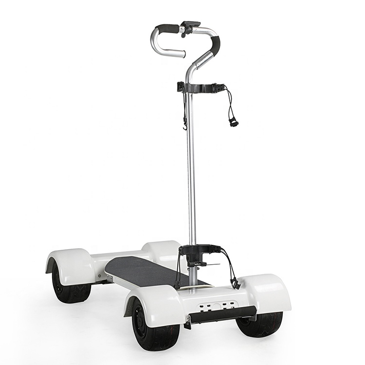60V 18.2Ah 1000W Electric Golf Cart Golf Board 4-Wheel Scooter