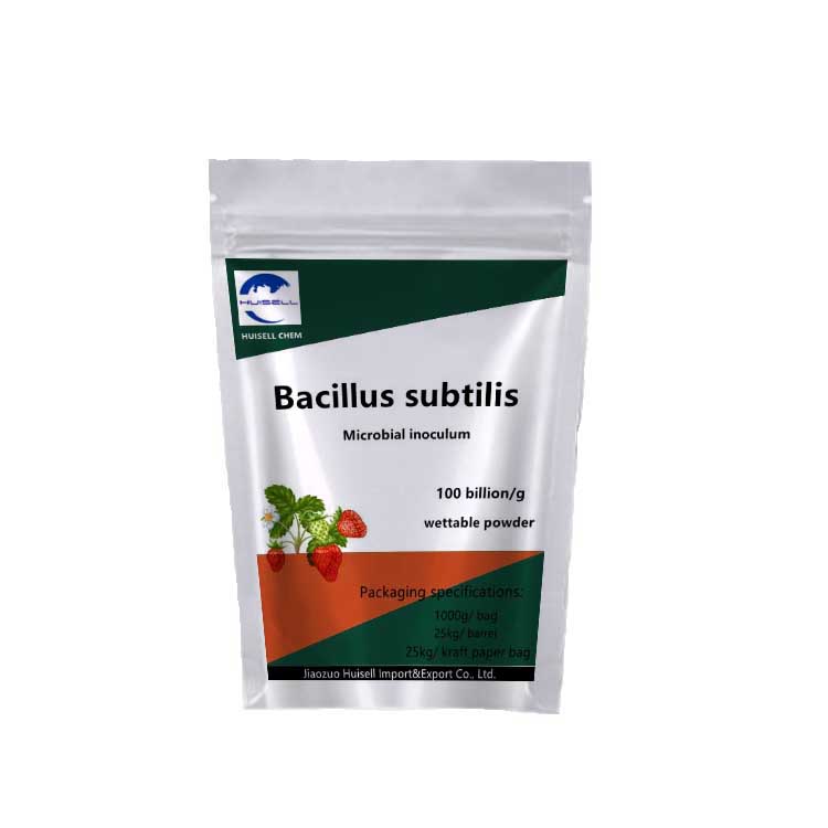 made from China supplier OEM feed grade probiotic bacillus subtilis