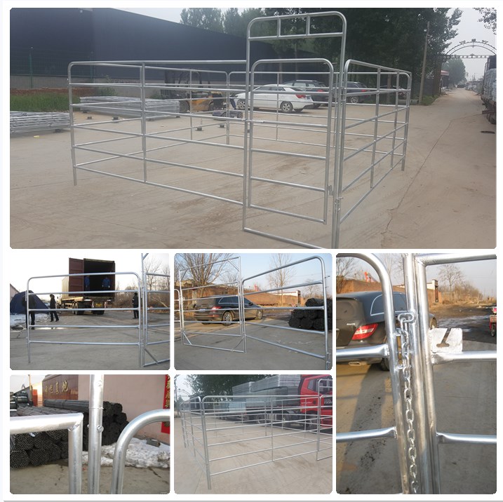 China 4/5/6 Bars Pre-galvanized Sheep Ranch Corral FenceGate Australia Galvanized Metal Livestock Cattle Yard Panel For Sale