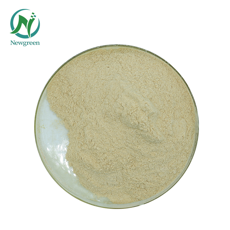 Заводская поставка, пищевой пробиотик, порошок Bacillus коагулана
