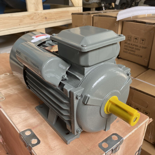 Однофазный двигатель YC YCL, мотор monofasico,1hp 2hp 3hp 4hp 5.5hp 110/220V AC yl серии, двухзначный конденсаторный двигатель