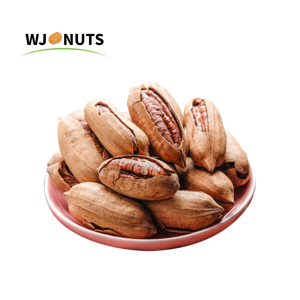 Wangjiang price cheap tasty harvest oil pecan nuts in shell