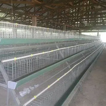 chicken cages egg layer poultry farm / layer cages egg chicken poultry farm