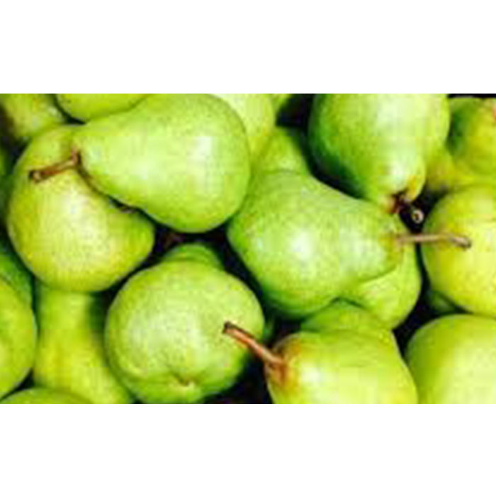 Южная Африка, супер качество, свежие PACKHAM TRIUMPH PEARS, оптовая продажа