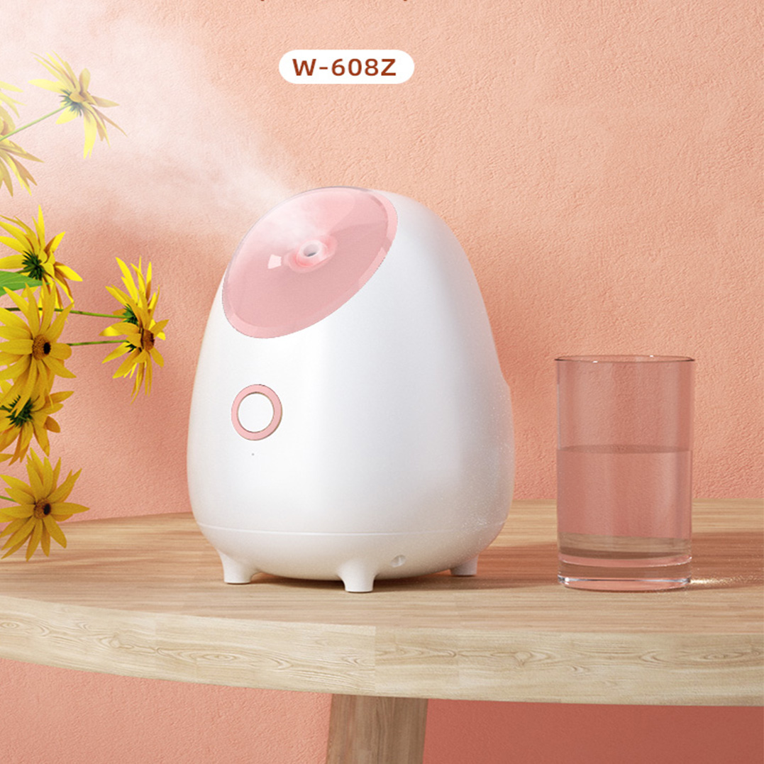 Face Steaming Device 2 In 1 Nano Ionic Hot Professional Spa Luxury Stand Ozone Steam Manual Facial Machine Steamer
