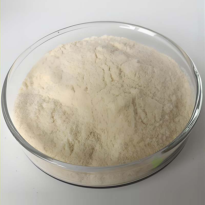 Food additives nattokinase Natto Extract 20000FU/g nattokinase powder nattokinase