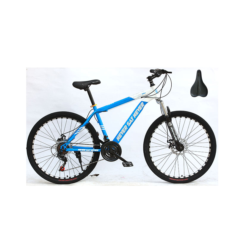 Cheap shipping mountain bike/China mountain bike for sale/Popular e bike mountain bike
