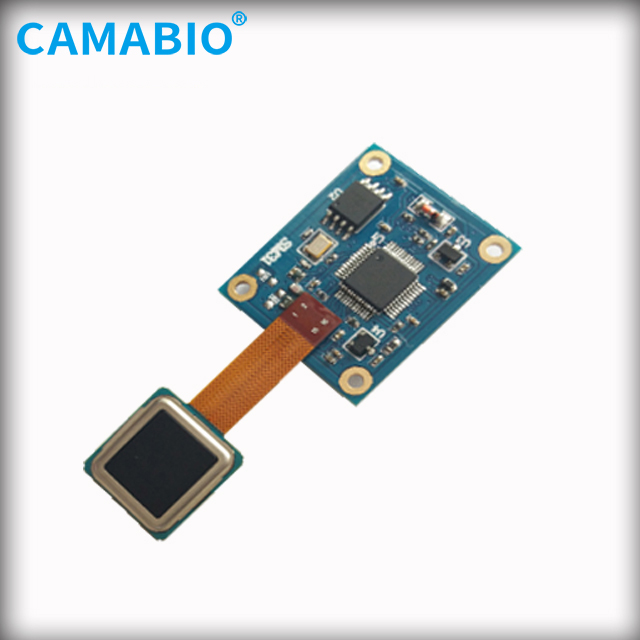 CAMA-AFM31 полупроводниковый емкостный сенсорный модуль сканера отпечатков пальцев для безопасности Сейф