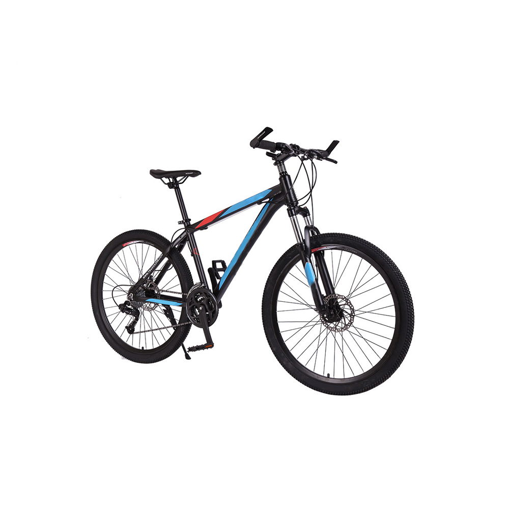 2021 3 wheel electric bicycle three wheels adult cargo electric