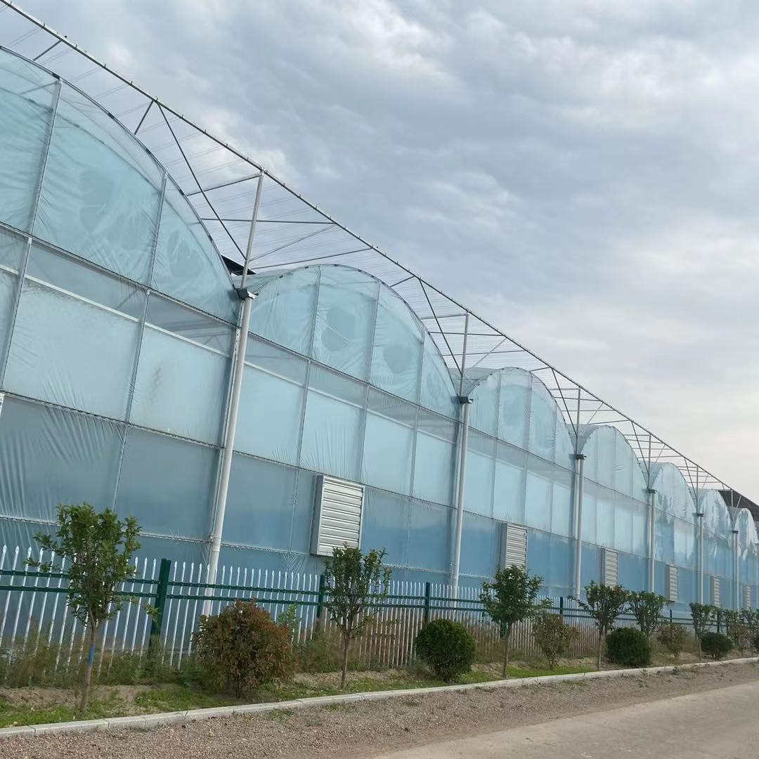 FM Professional manufacturers chinese agricultural intelligent film serre invernadero multi-span greenhouse