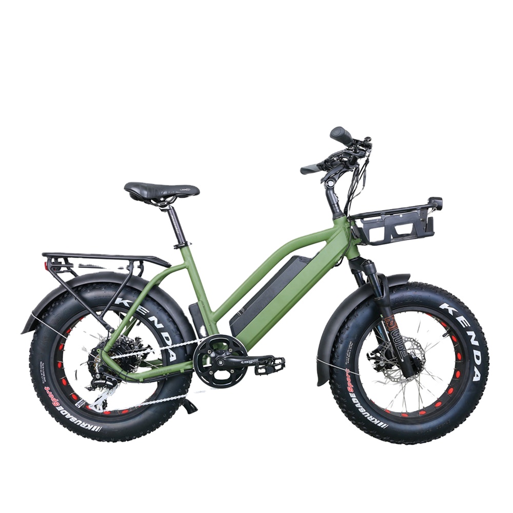 Новые одинаковые комплекты для семьи 48V500W мотор 48V13Ah SDI батарея 20 "MTB велосипед для ребенок немного полноват шина Электрический велосипед