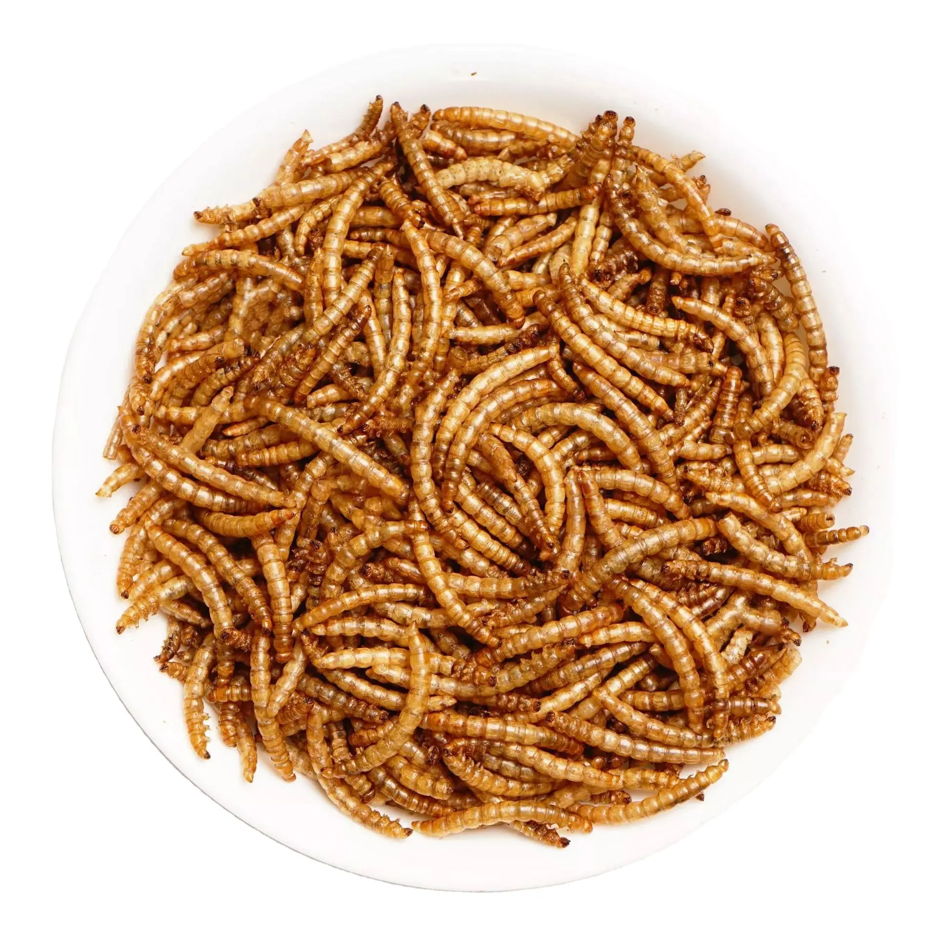 Dried mealworms for sale bulk High Protein dried mealworms