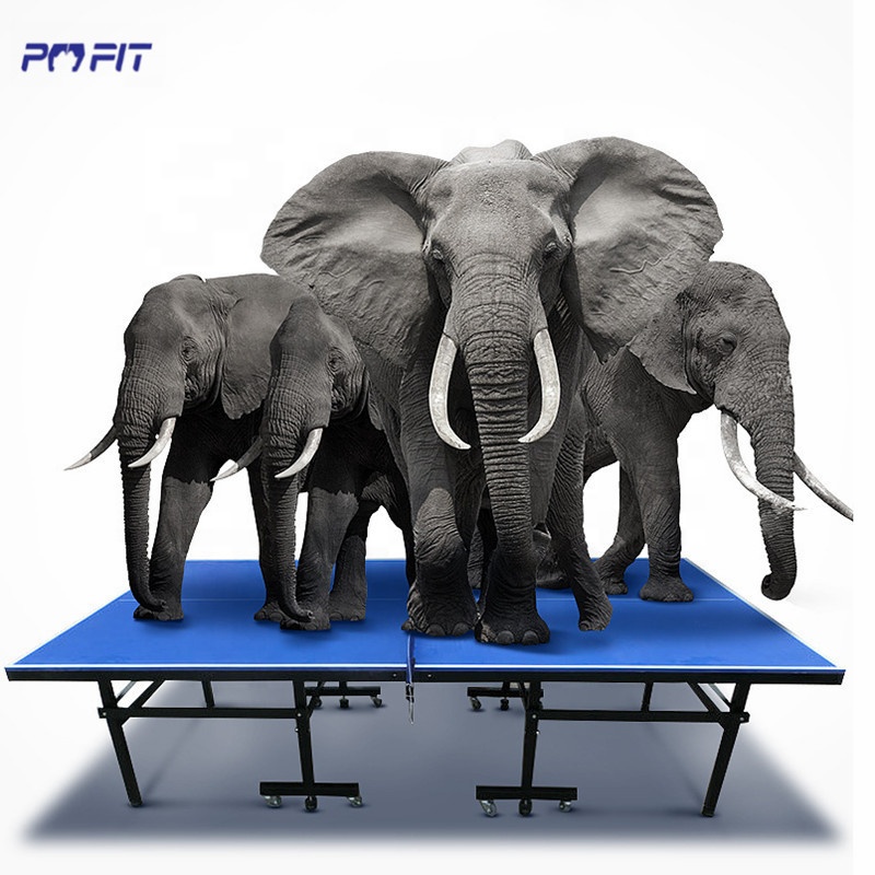 SMC waterproof ping pong table tabla de tenis de mesa outdoor board table tennis game