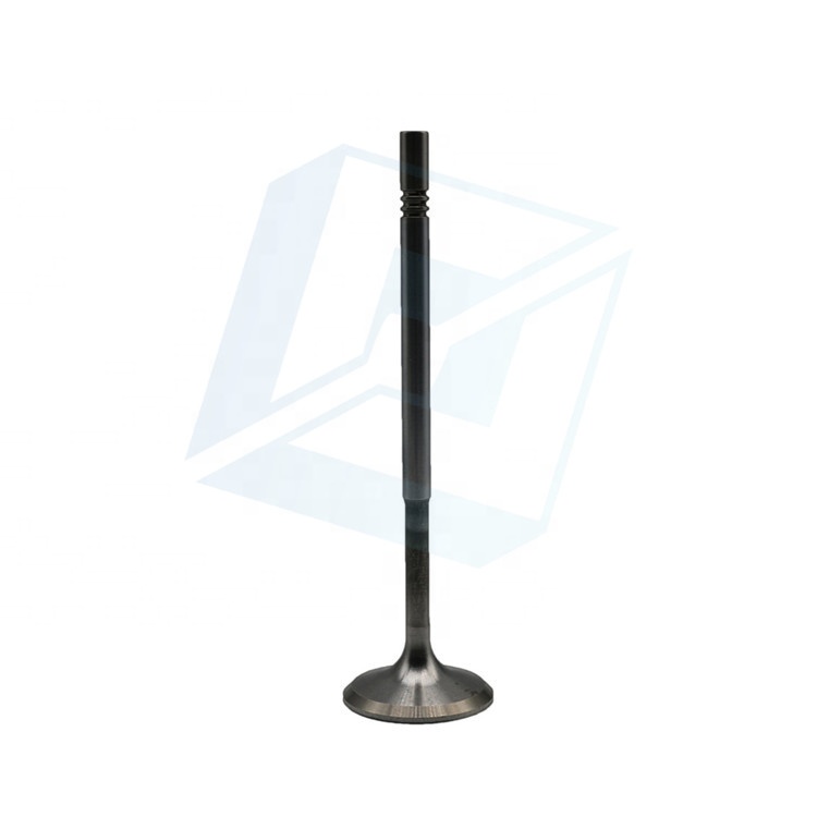 Впускной клапан двигателя opel 06D109601K 06D109611L Eng BLR BLX BLY
