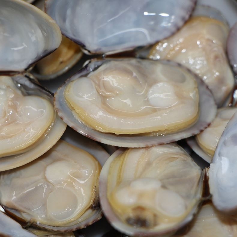Импортеры замороженных морепродуктов, твердый моллюск в моллюсков