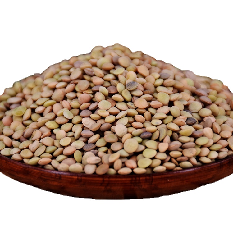 Crop2020 зеленая кухня, китайская линза, высокое качество, линза оптом по лучшей цене