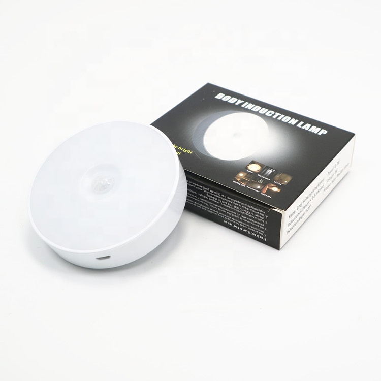 Premium Human Body Induction Lamp street lamp Mini Night warm cold Lamp Led Cabinet Light