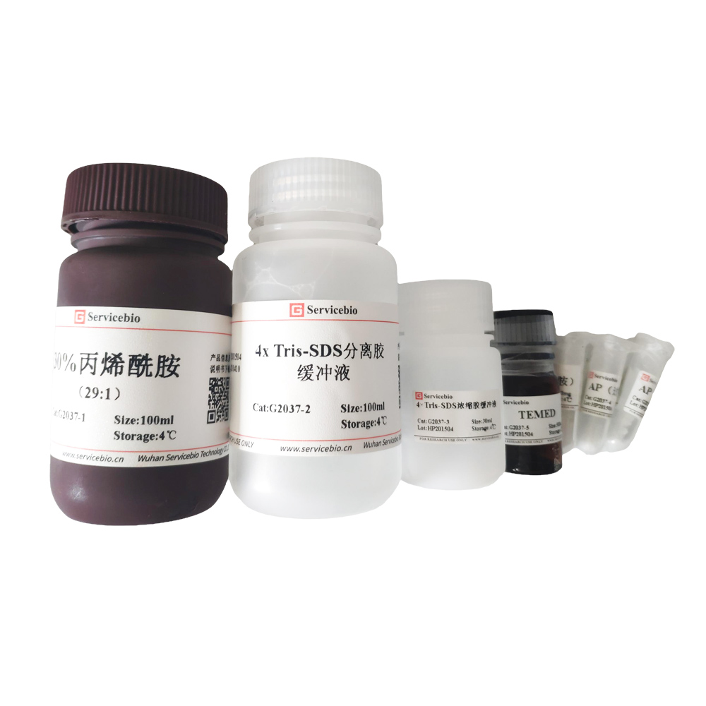 Реагент Western blot research SDS-PAGE Gel Kit