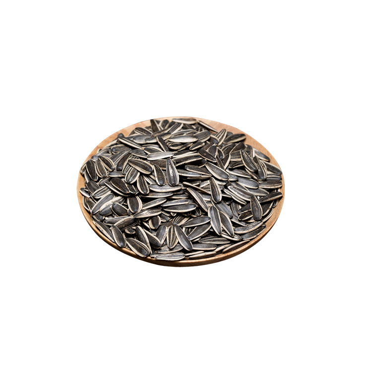 High Quality Argentina Sunflower Seed with Market Price