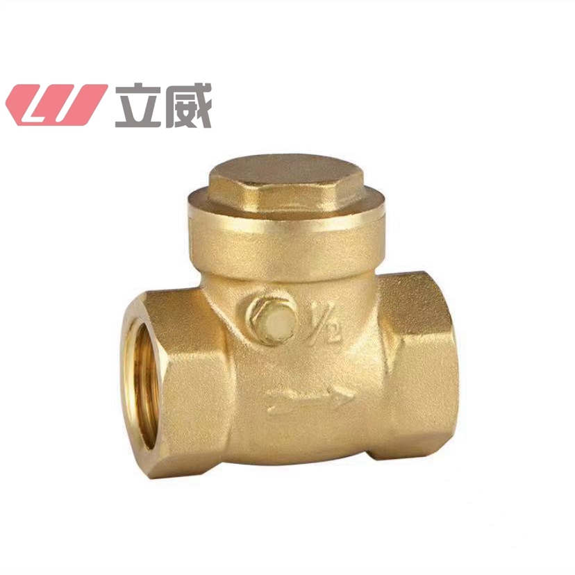brass swing check valve in favorable price