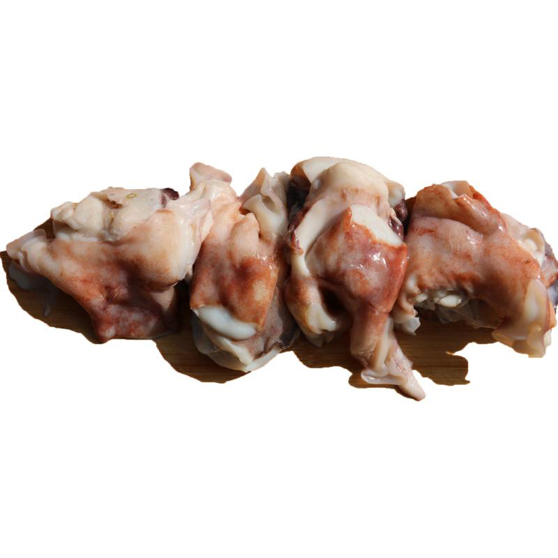 FACTORY FROZEN GIANT SQUID NECKS