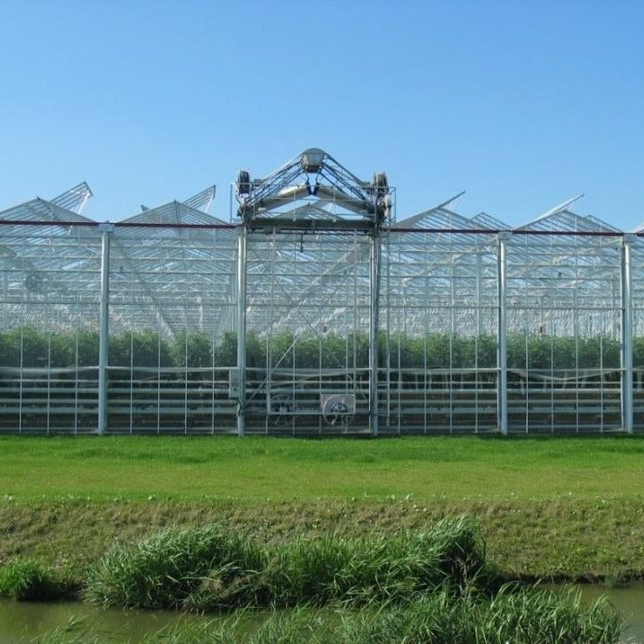 Agricultural Greenhouses And Agriculture Equipment