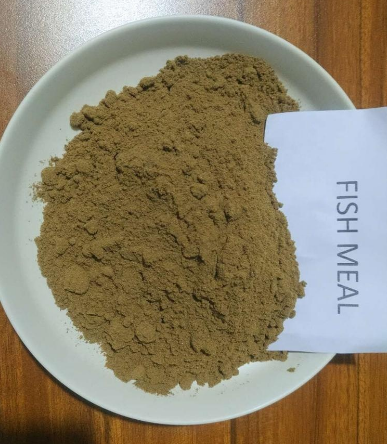 Hot product Protein 65% Fish Meal best fish meal