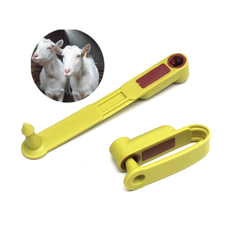 Tpu Material Yellow Sheep Farm Animal Ear Tag for Farms