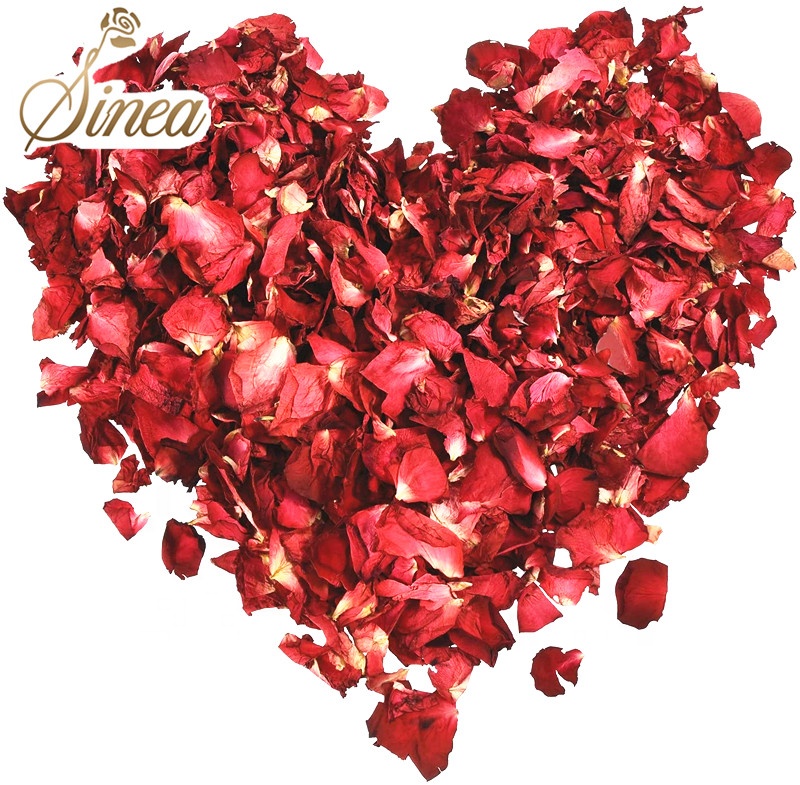 Wholesale price freeze dried 100% natural rose petals from China