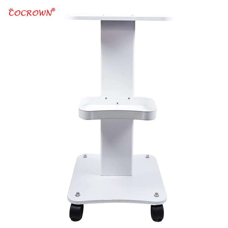 2021 Hot Sale Double Layer Beauty Instrument Trolley Rolling Cart In Salon Tool Trolley Furniture