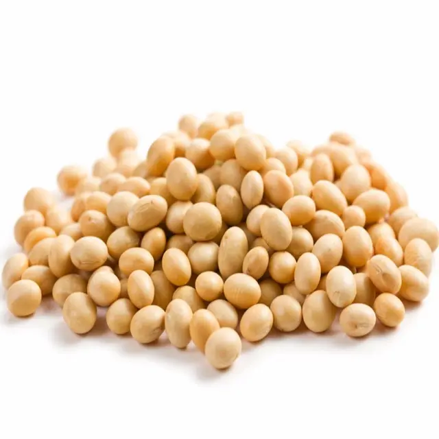 Cheap Hot Sale Yellow Bean Top Quality Whole Grains Dried Yellow Soybeans Soya Beans In Bulk