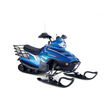 Top quality high safety 220cc Adults snow mobile full steel frame gasoline electric snowmobile double ski big sled snowmobile