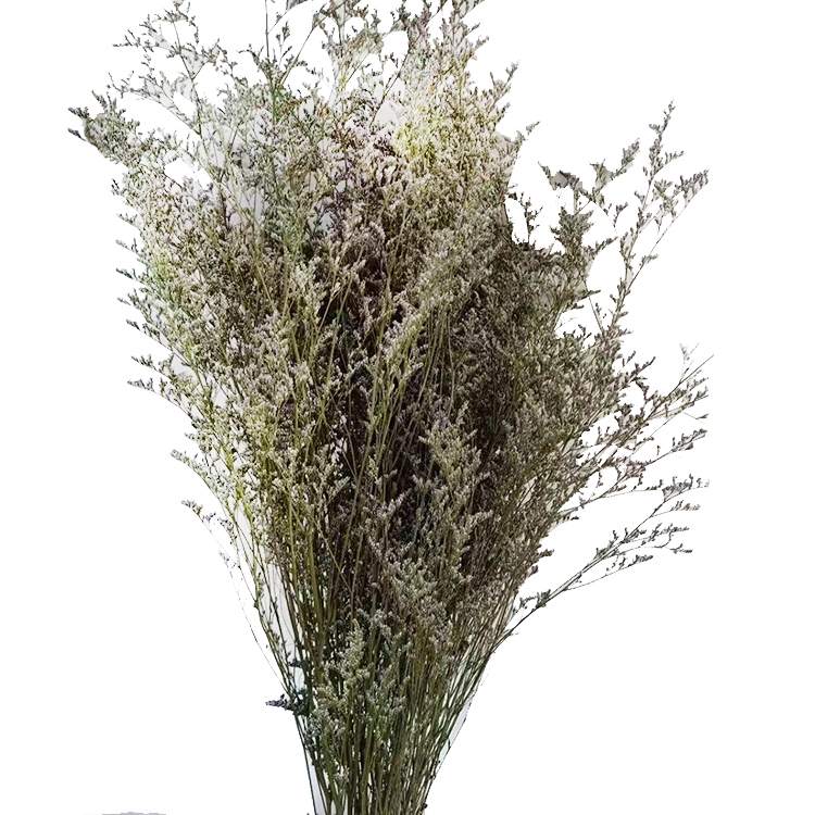 MSFAME new arrival natural dried flower wedding bouquet preserved flowers