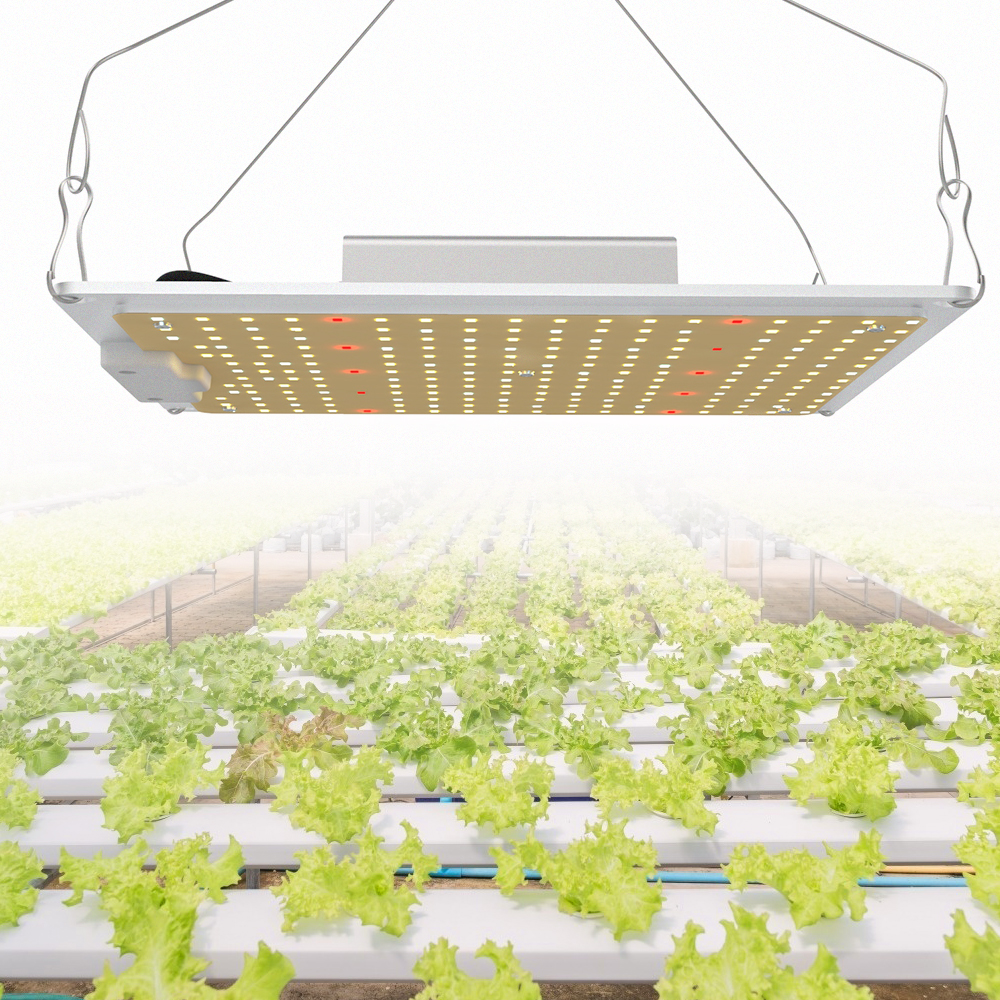 SGROW IP65 Водонепроницаемый полный спектр 3500K 5000K 660nm 730nm 120W LED Grow Light