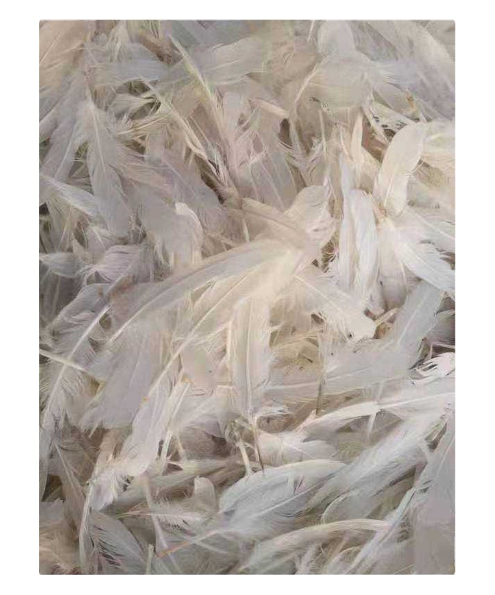 Factory direct goose slicing raw white goose feather