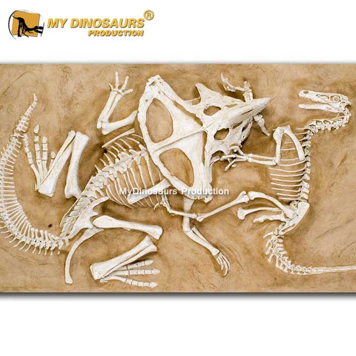 MY Dino DS078, ископаемая грунтовка динозавра, ископаемая костяная грунтовка