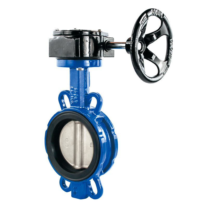 DN50-DN600 soft back cast iron soft-back wafer butterfly valve