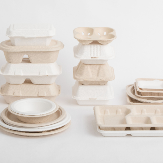 Disposable Plates/Trays/Bowls/Clamshell box Unbreakable Dinner Set
