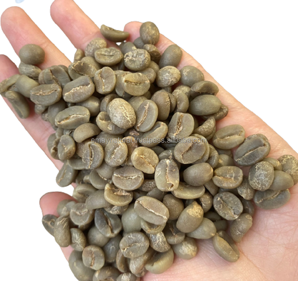 New Choice Whole Bean Coffee Arabica -Full washed S18 Grade 1 For Sale