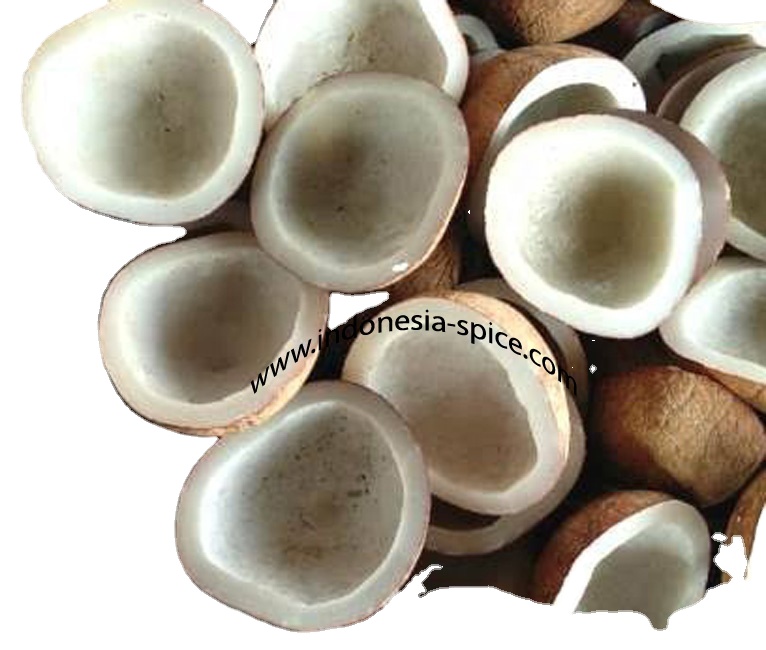 Hot Sale Factory Price Food Ingredients White Dried dry Coconut Copra