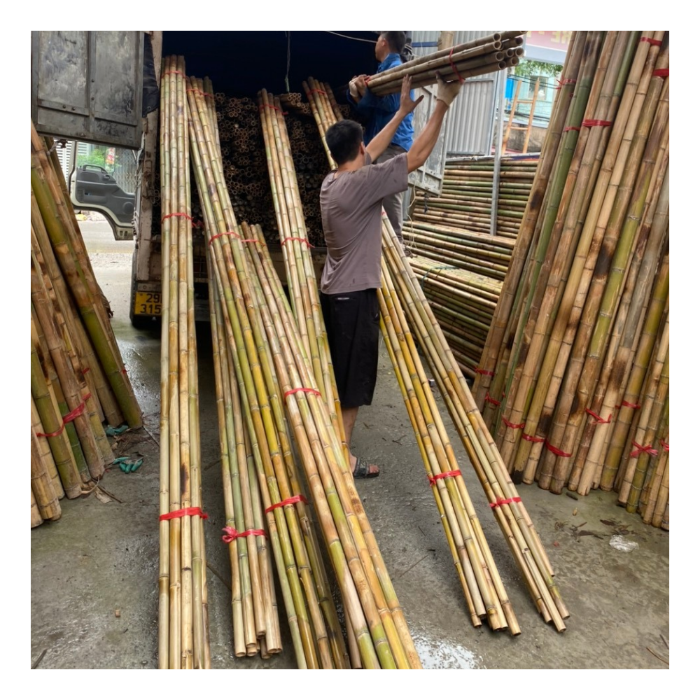 Bamboo Pole (Length 290cm) Wholesale Best Selling Competitive Price High Quality Bamboo Raw Materials From Vietnam Manufacturer