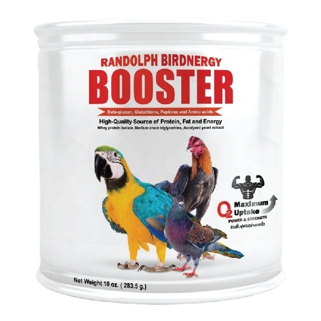 Randolph Birdnergy Booster Provide balanced nutrition Repair and Muscle Building Healthy Growth for Parrots