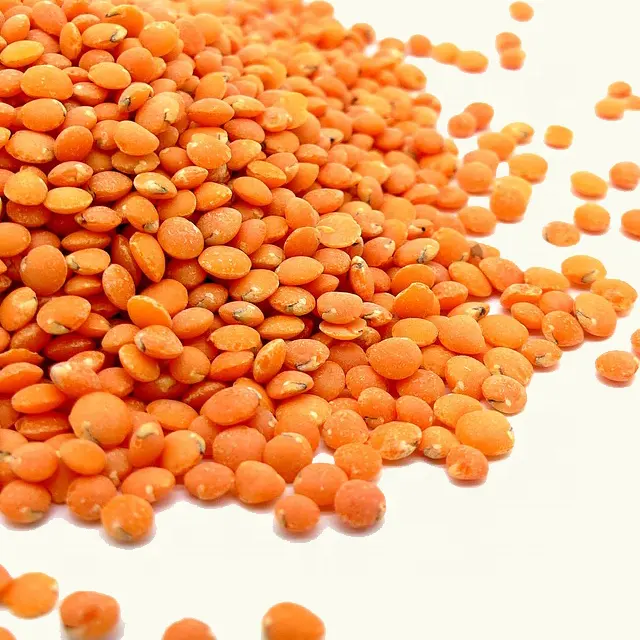 High Quality A Grade Red Lentils at Low Cost from India